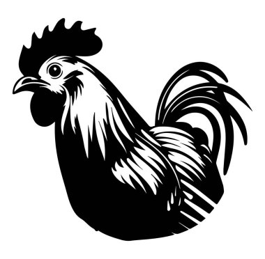 Ayrıntılı Tüylü Siyah ve Beyaz Horoz Sanatı