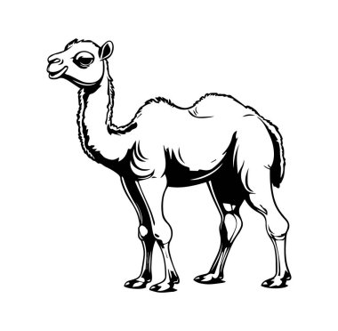 Basit Çizgilerle Biçimli Siyah ve Beyaz Deve İllüstrasyonu