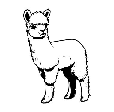 Ayakta Duran Alpaka Hayvan Tasarımı 'nın Sevimli ve Oyuncu İllüstrasyonu