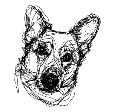Beyaz Arkaplanda Bir Corgi Köpek Portresi Çizimi