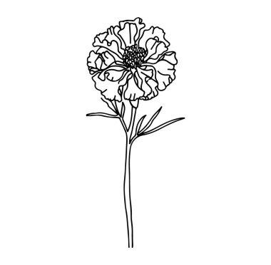 Yapraklı ve Yapraklı Tek Çiçek Kökünün Ayrıntılı Satır Sanatı