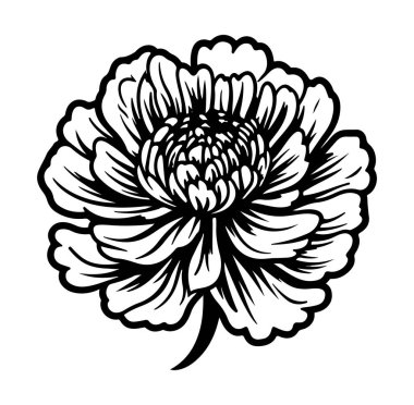 Çiçek açan bir çiçeğin zarif Siyah ve Beyaz Çiçek İllüstrasyonu