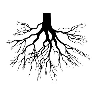 Ağaç Köklerinin Siyah Silüeti Dalları Karmaşık
