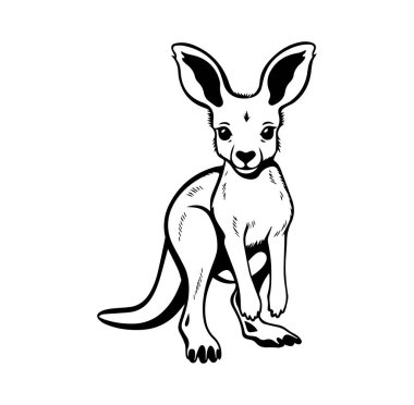 Hayvan Temalı Grafik Tasarımı İçin Şirin Kanguru Resimleri