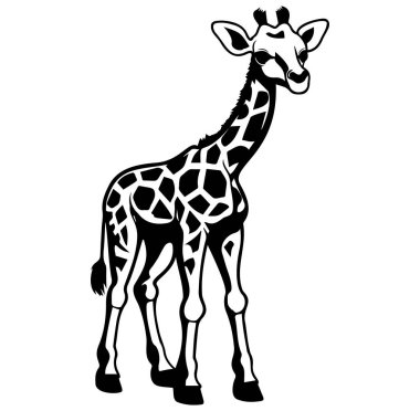 Uzun Boylu Bir Zürafa 'nın Siyah ve Beyaz Fotoğrafı