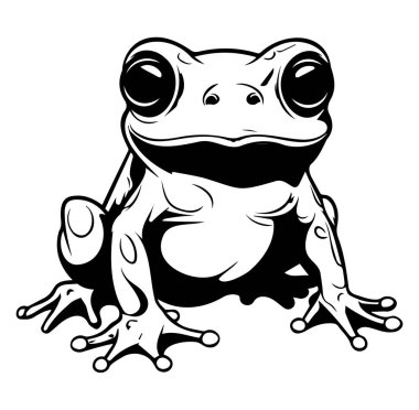 Gerçekçi Bir Kurbağa Tasarımının Siyah ve Beyaz Çizimi
