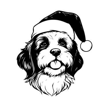 Bayram kutlamaları için Noel Baba Şapkası Giyen Şenlikli Köpek