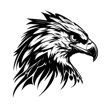 Ayrıntılı Tüylü Siyah ve Beyaz Kartal Kafa İllüstrasyonu