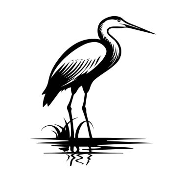 Zarif balıkçıl zarif bir şekilde su yüzeyine yakın duruyor.