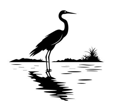 Sakin Su Yansıma Sahnesinde Zarif Balıkçıl Silueti