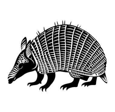 Siyah ve Beyaz Biçimli Detaylı Armadillo Resimleri