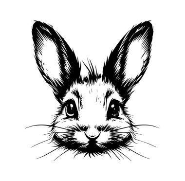 Siyah-Beyaz Şirin Tavşan Yüzünün Detaylı ResmiName