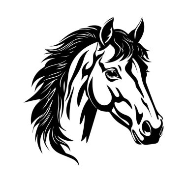 Ayrıntılı Siyah ve Beyaz At Başı İllüstrasyonu
