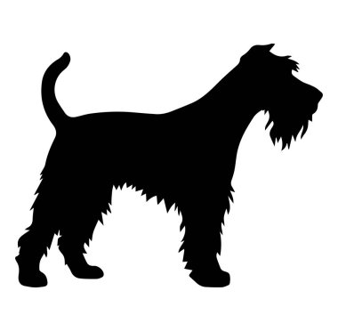 Kürklü ve Ayrı Özellikli Bir Köpeğin Siyah Silueti