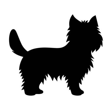 Tüylü Kürklü ve Sivri Kulaklı Bir Köpeğin Silüeti