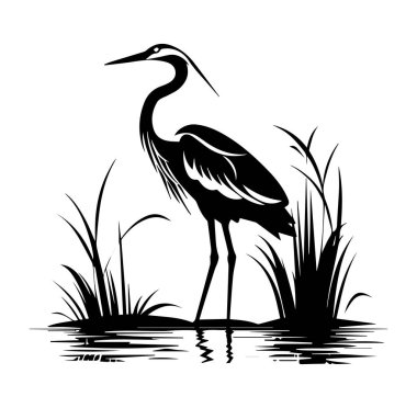 Sazlıklarla Sakin Sularda Duran Zarif Balıkçıl