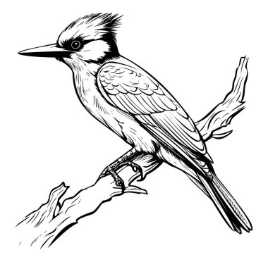 Dalına tünemiş bir kuşun ayrıntılı taslağı.