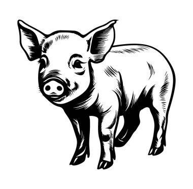 Siyah ve Beyaz Sanatsal Biçimli Şirin Domuzcuk