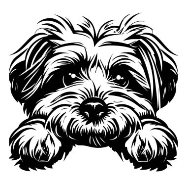 Ayrıntılı Kürkü ve İfade Eden Gözleriyle Şirin Köpek Çizimi