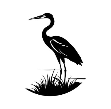 Balıkçıl 'ın zarif siyah silueti Bataklıkta duruyor