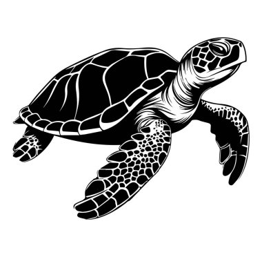 Okyanus Dalgalarında Yüzen Zarif Deniz Kaplumbağası