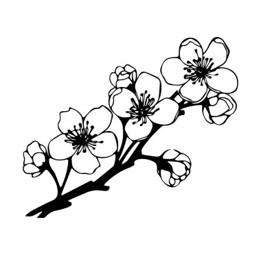 El yapımı Kiraz Çiçeği Dalı Narin Çiçekler