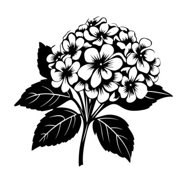 Siyah ve Beyaz Ortanca Çiçek Çiçek Santralinin Çizimi