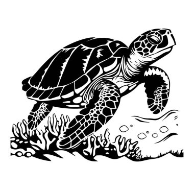 Bir Deniz Kaplumbağasının Siyah ve Beyaz Yüzüşü