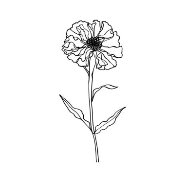 Beyaz Arkaplanda Zarif El Çizimi Çiçek İllüstrasyonu