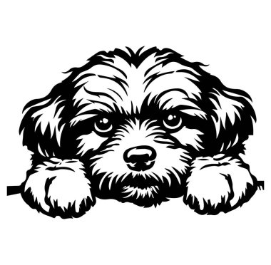 Büyük Gözlü ve Yumuşak Kürklü Şirin Köpek Çizimi