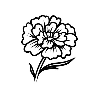 Karanfil Çiçeğinin Zarif Siyah ve Beyaz Fotoğrafı