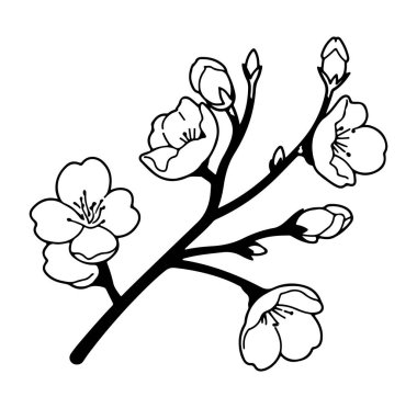Siyah ve Beyaz Tasarım 'da Kiraz Çiçeği Şubesi