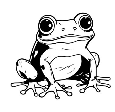 Siyah ve Beyaz Bir Kurbağanın Ayrıntılı İllüstrasyonu