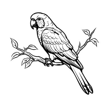 Ayrıntılı Papağan Sanatı Yaprakları ile Dallara Tüymüş