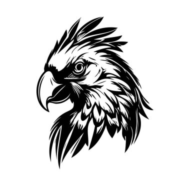 Görkemli bir Kartal Başı 'nın Zarif Siyah ve Beyaz Fotoğrafı