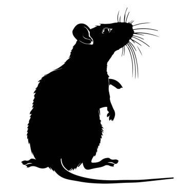 Bıyıklı ve Kulaklı Ayakta Duran Fare Silueti