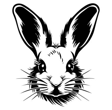 Bıyıklı Bir Tavşanın Siyah ve Beyaz Portresi