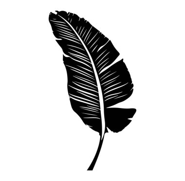 Beyaz Arkaplanda Tropikal Bir Yaprağın Siyah Silueti