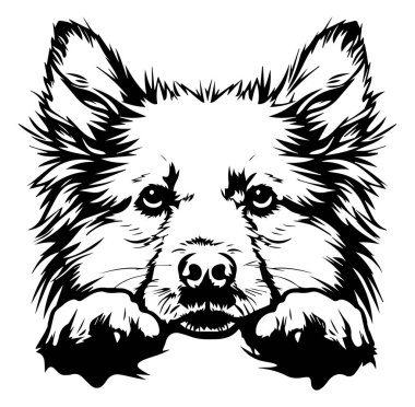 Bir Köpeğin Profilindeki Yüzünün Detaylı Siyah ve Beyaz ResmiName