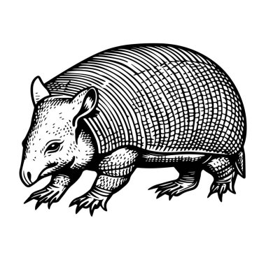 Siyah ve Beyaz Biçimli Biçimli Armadillo 'nun Detaylı Resimleri