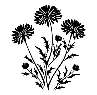 Narin Yapraklar Tasarımlı Yaban Çiçeklerinin Zarif Siyah Silueti