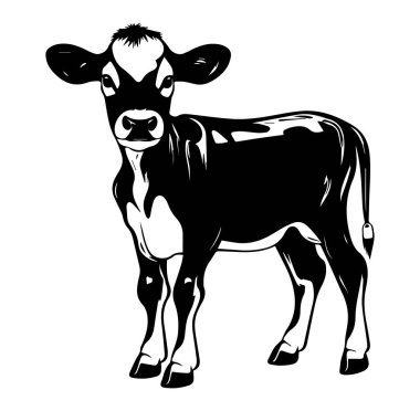 Çiftlikteki Ayakta Duran Genç Bir Buzağının Siyah ve Beyaz Silueti