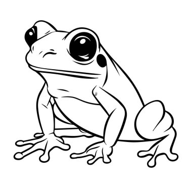 Gerçekçi Bir Kurbağa Tasarımının Ayrıntılı Çizgi Sanatı İllüstrasyonu