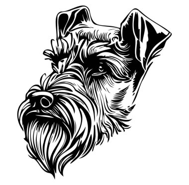 Siyah ve Beyaz Biçimli Bir Schnauzer Köpeğinin Ayrıntılı Resimleri