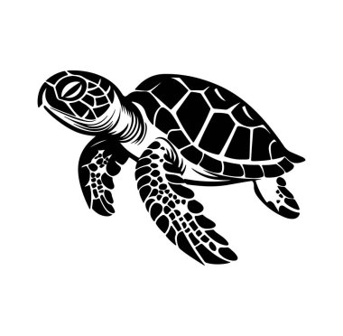 Okyanus Sularında Yüzen Kaplumbağanın Siyah Silueti