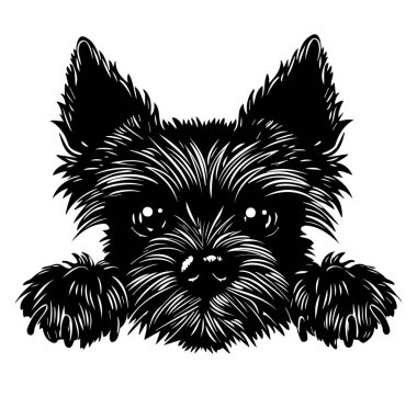 Kulakları olan bir köpeğin şirin siyah beyaz tasviri.