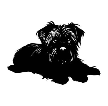 Yerde yatan Şirin Küçük Köpek Silueti