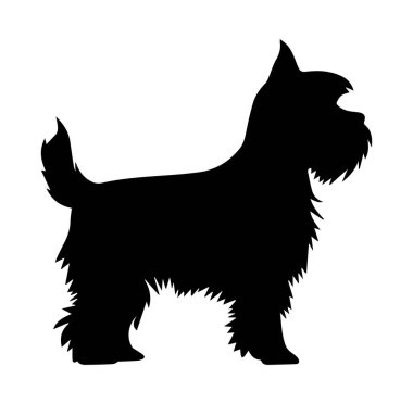 Yumuşak Kürklü ve Dik Kulaklı Küçük Bir Köpeğin Silueti