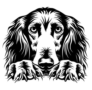 Uzun Kürklü Bir Köpeğin Siyah ve Beyaz Çizimi