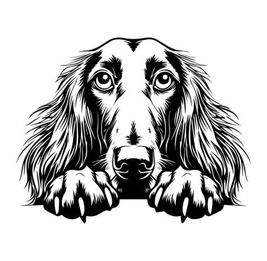 İfade Eden Gözlü ve Kürklü Bir Köpeğin Ayrıntılı İllüstrasyonu